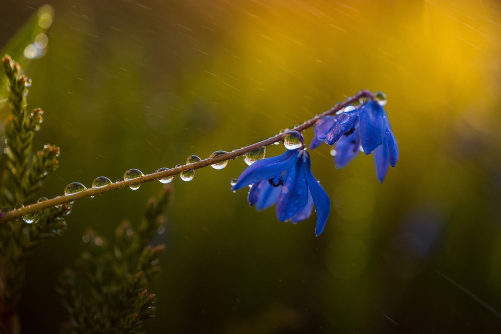 Photograph by Николай Захаров