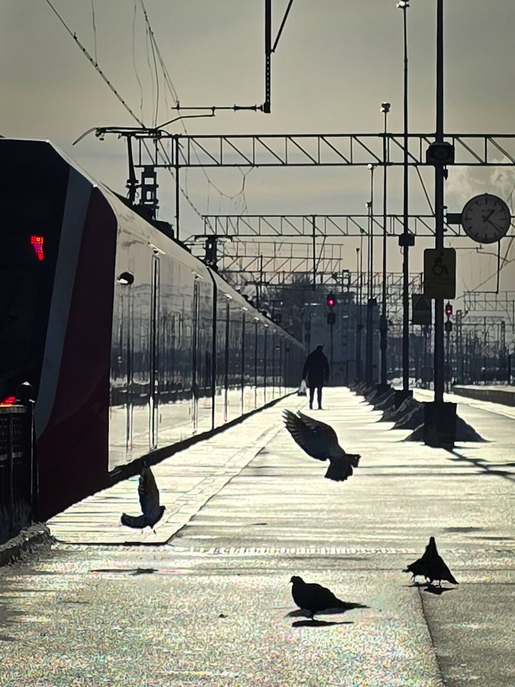 Photograph by Ирина Хлебникова