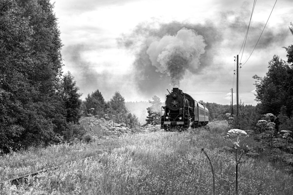 Photograph by Дарья Улюсова
