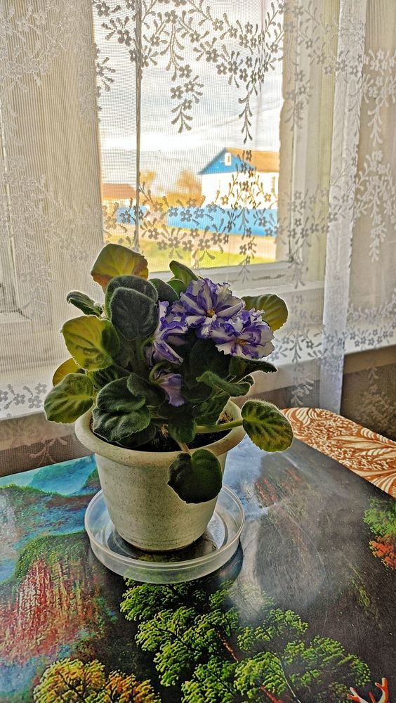 Photograph by Анна Захарчук