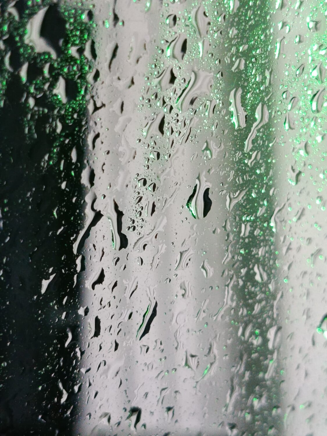 Photo #13557806