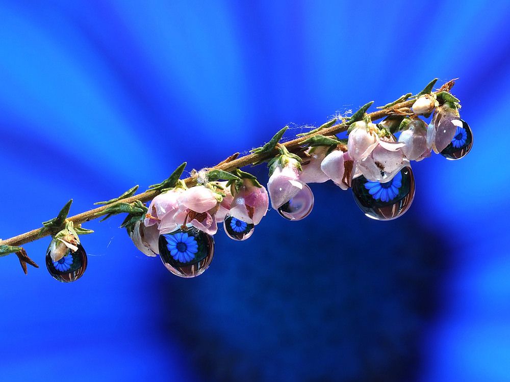 Photograph by Риганов Борис