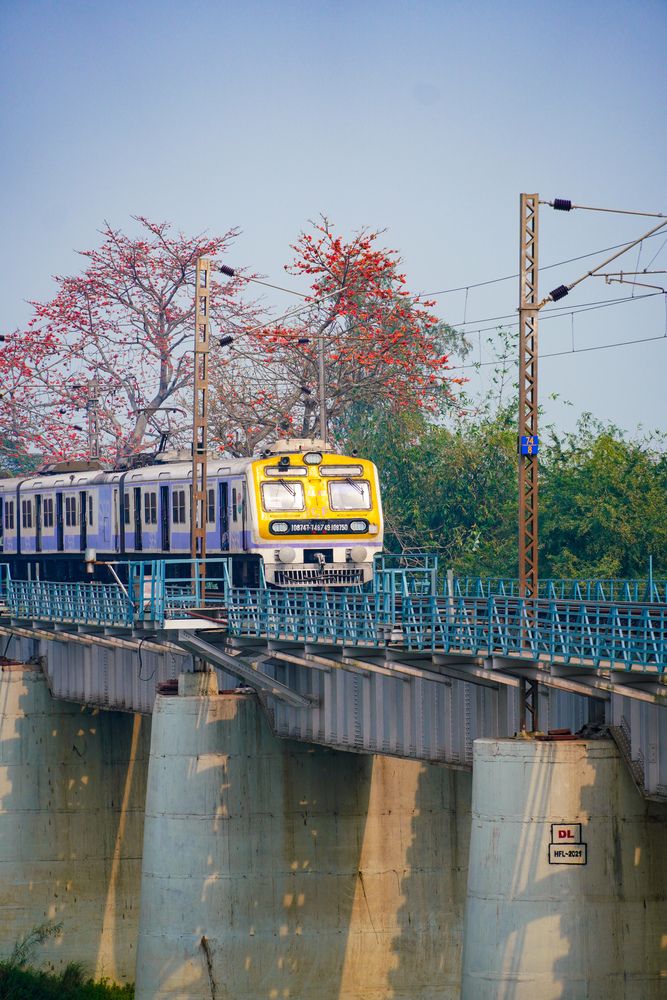Photograph by Rounak Kayal