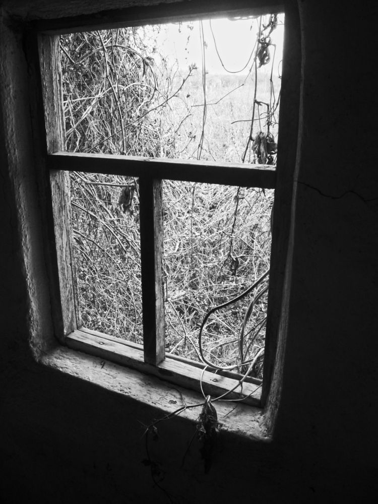 Photograph by Darya Dolinina