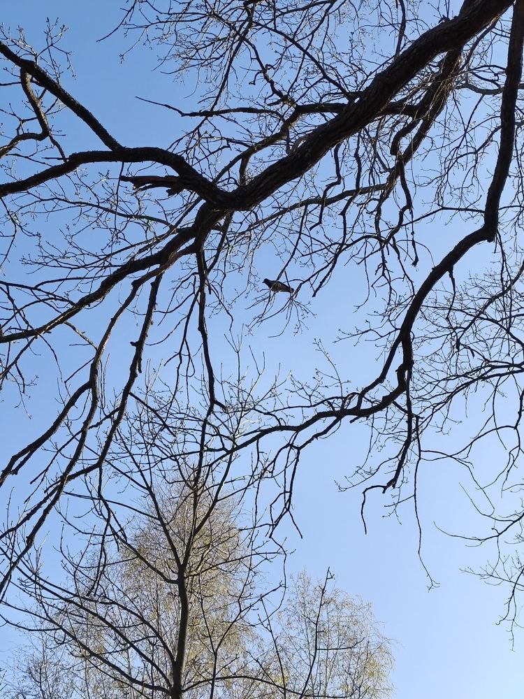 Photograph by Татьяна Пятернёва