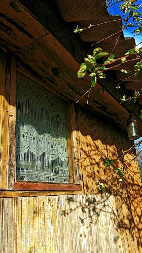 Photograph by Анна Захарчук