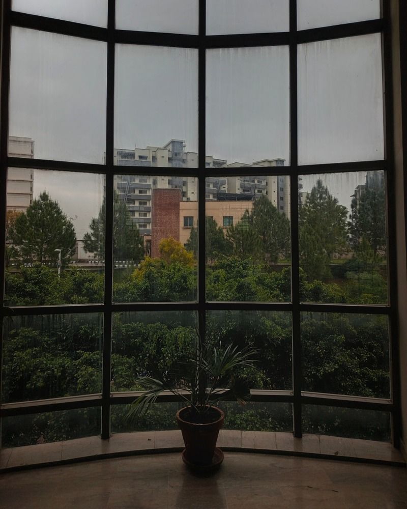 \"Stillness Before the Rain\"