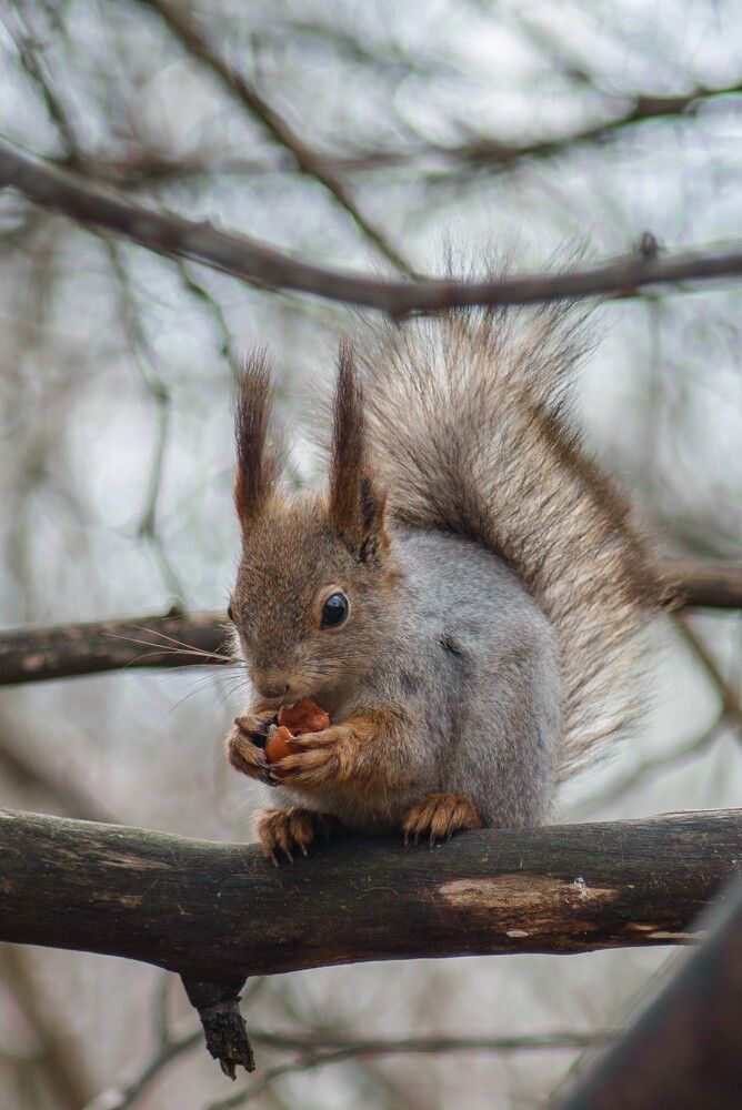 Photograph by Maria Filatova