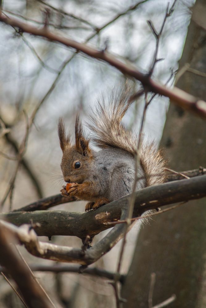 Photograph by Maria Filatova