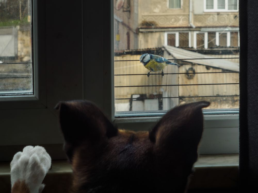 Photograph by Margarita Presidentova
