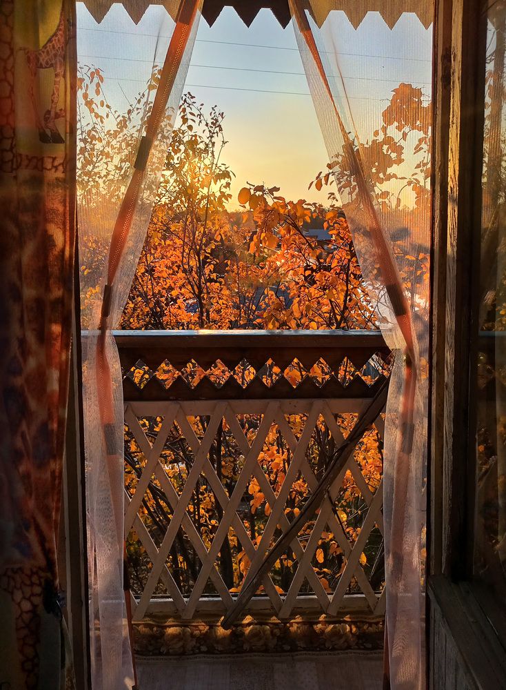 Photograph by Татьяна