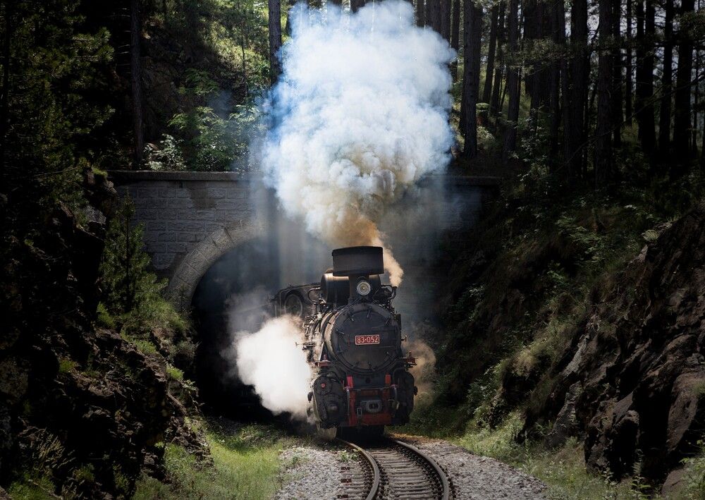 Photograph by Roman Bevzenko
