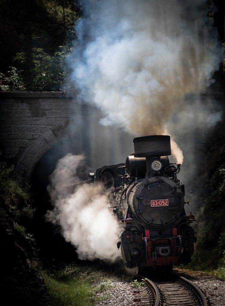 Photograph by Roman Bevzenko