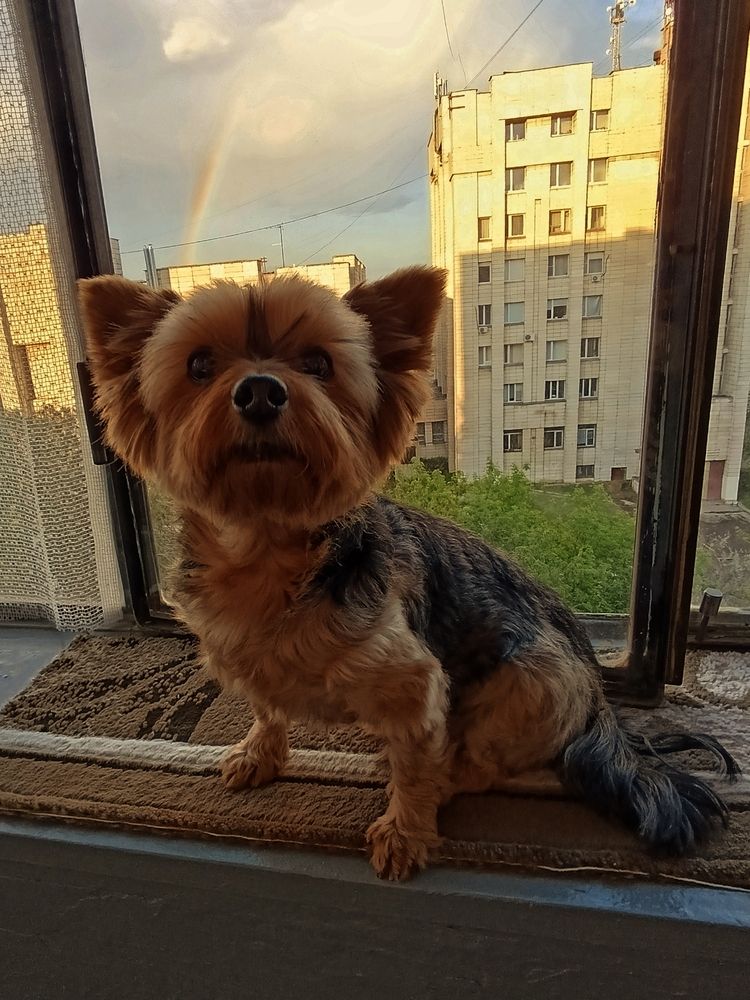 Photograph by Алена Марченко