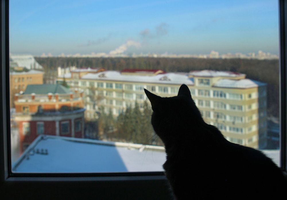 Photograph by Татьяна