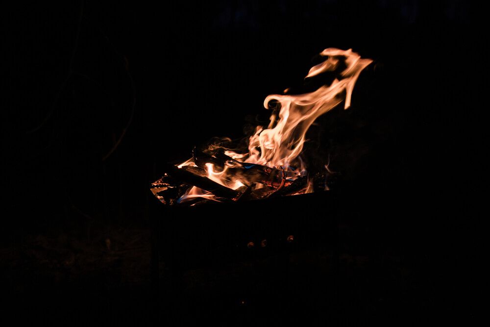 Photograph by Алексей Чеботарев