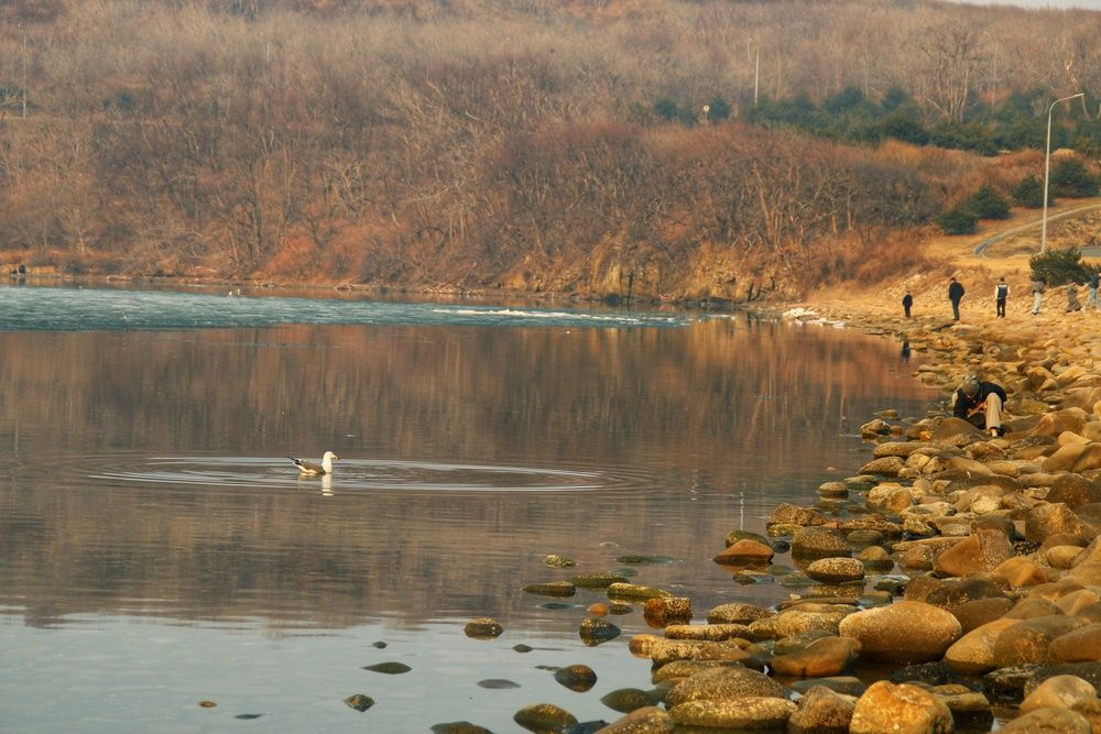 Фотография автора Вероника Жуковец