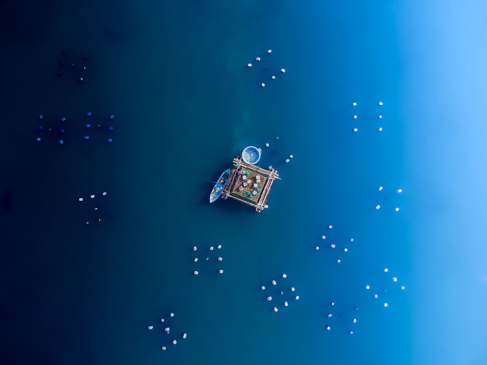Photograph by Truong Giang Nguyễn