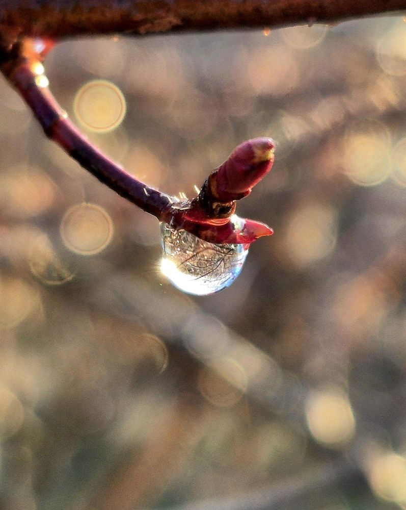 Photograph by Валентина Сергеева