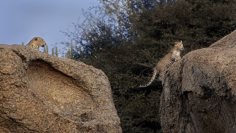 Photograph by SUBHAMAY  KARMAKAR