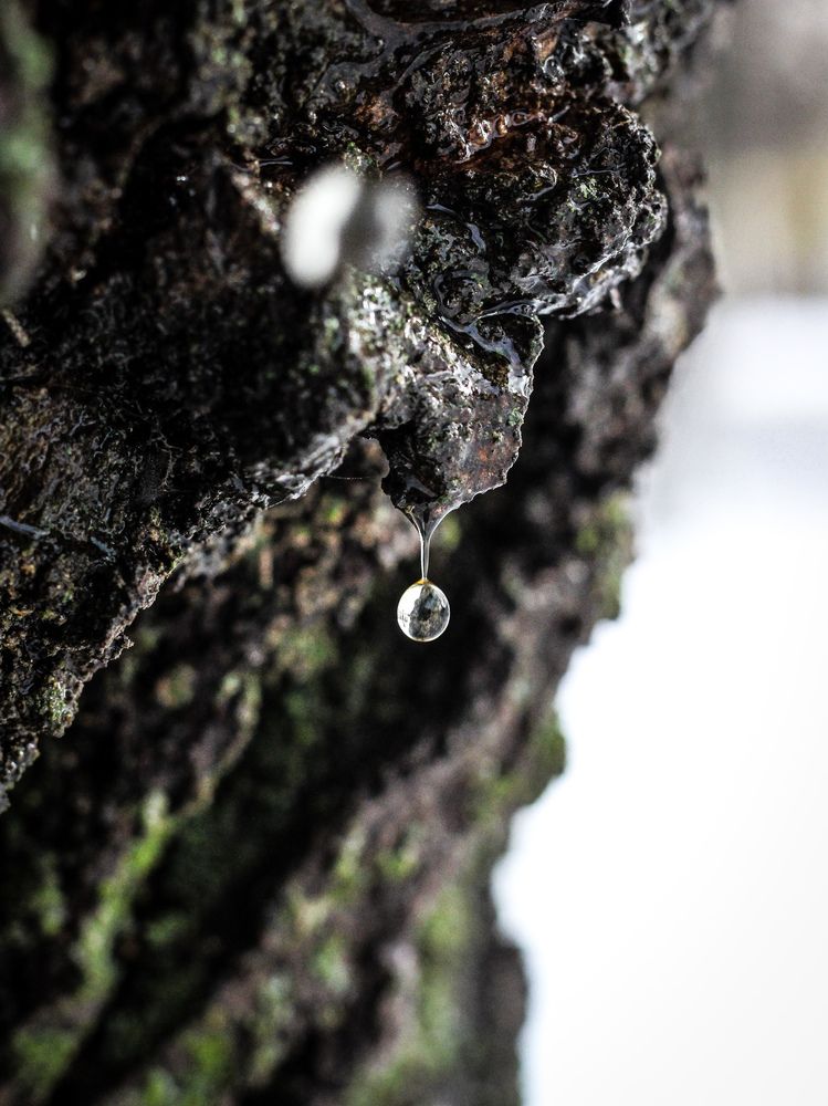 Photograph by Георгий Юркин