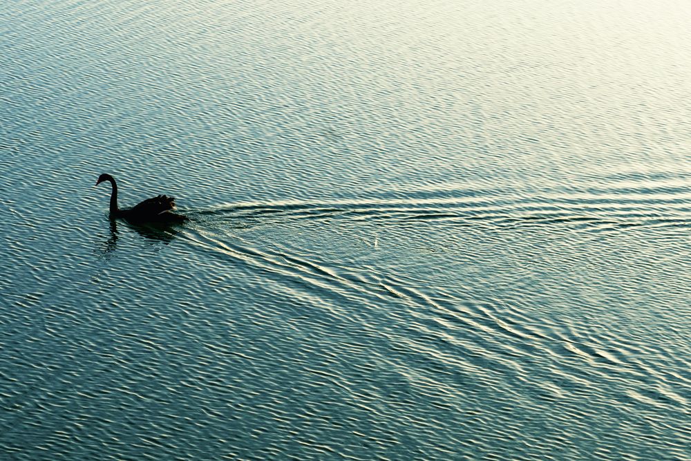 Photograph by Mohsen Naranjani