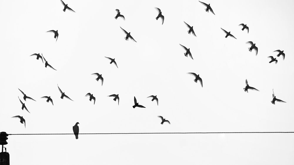 Photograph by Ксанка Севостьянова