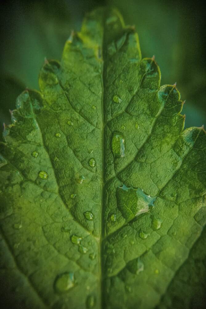 Photograph by Анна Пундалова