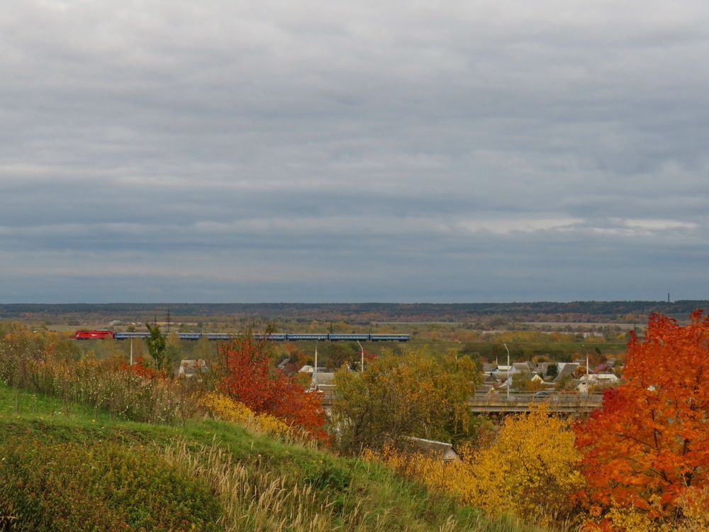 Train in autumn colors