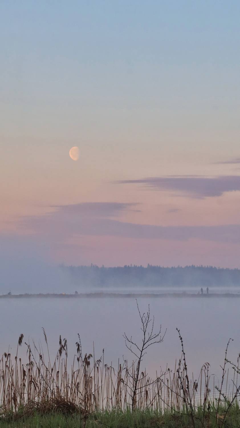 Photo #13559350