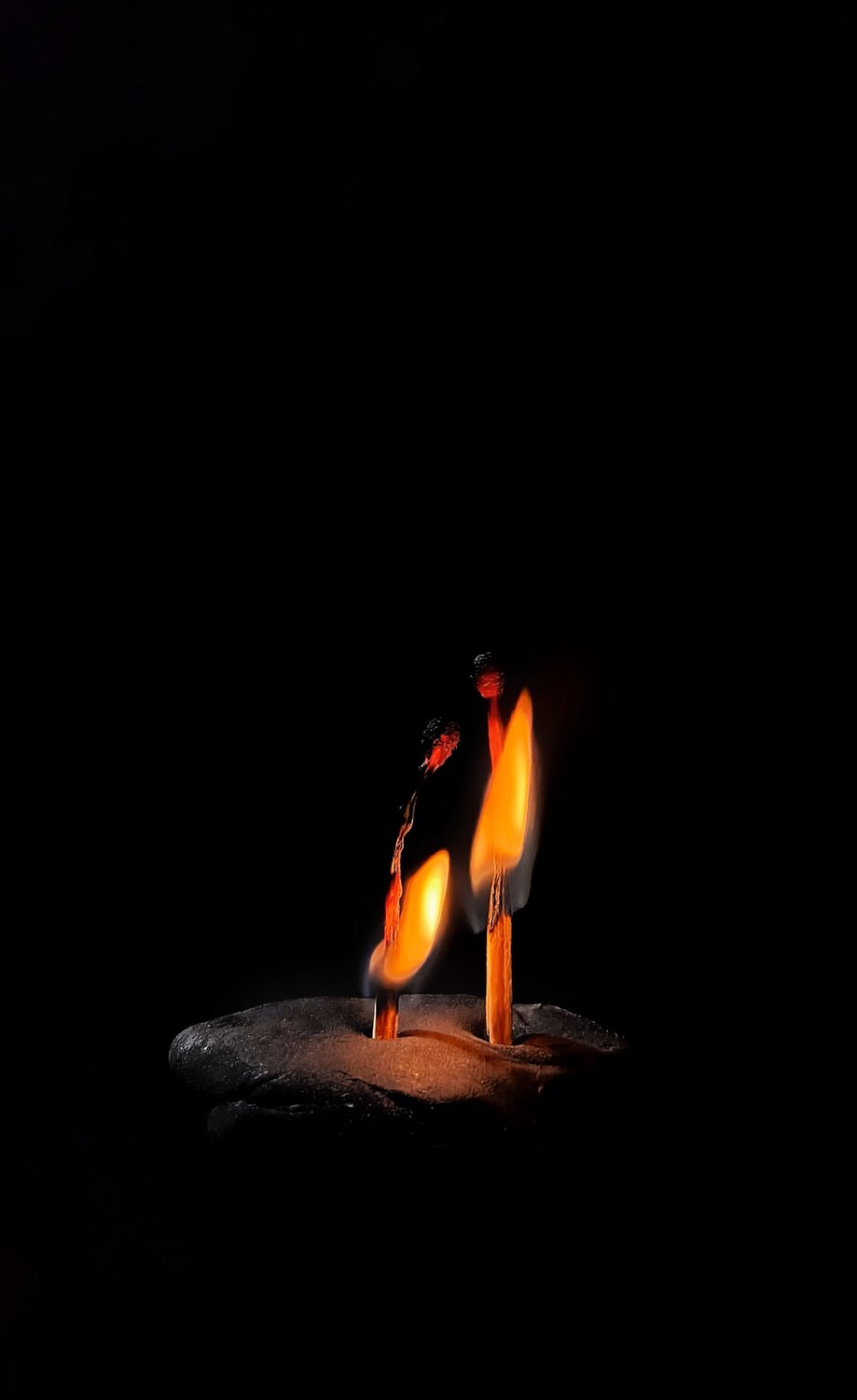 Photo #13559365