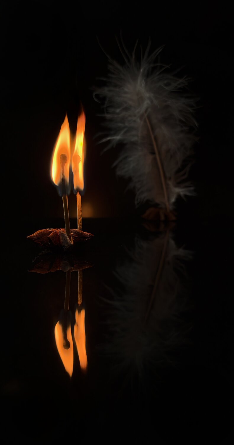 Photo #13559366