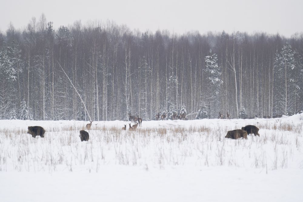 Photograph by Василиса Филимонова