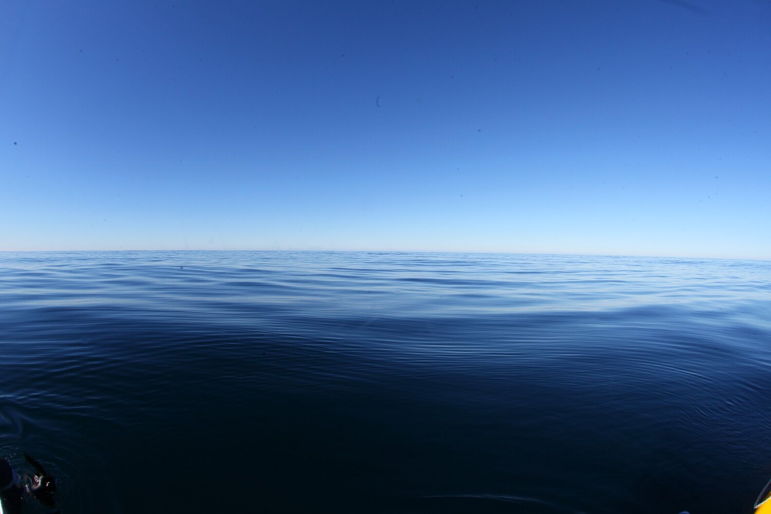 Photo #13559748