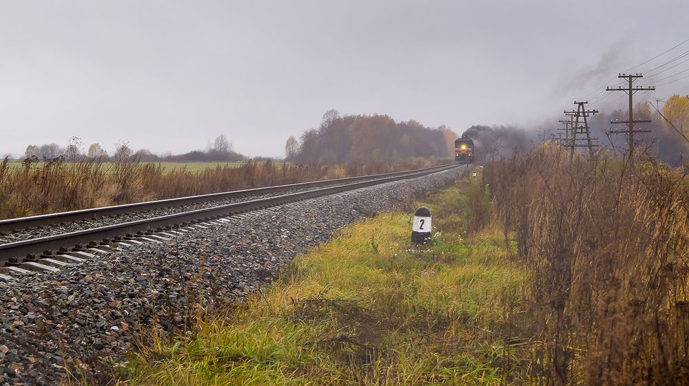 Photo #13559804