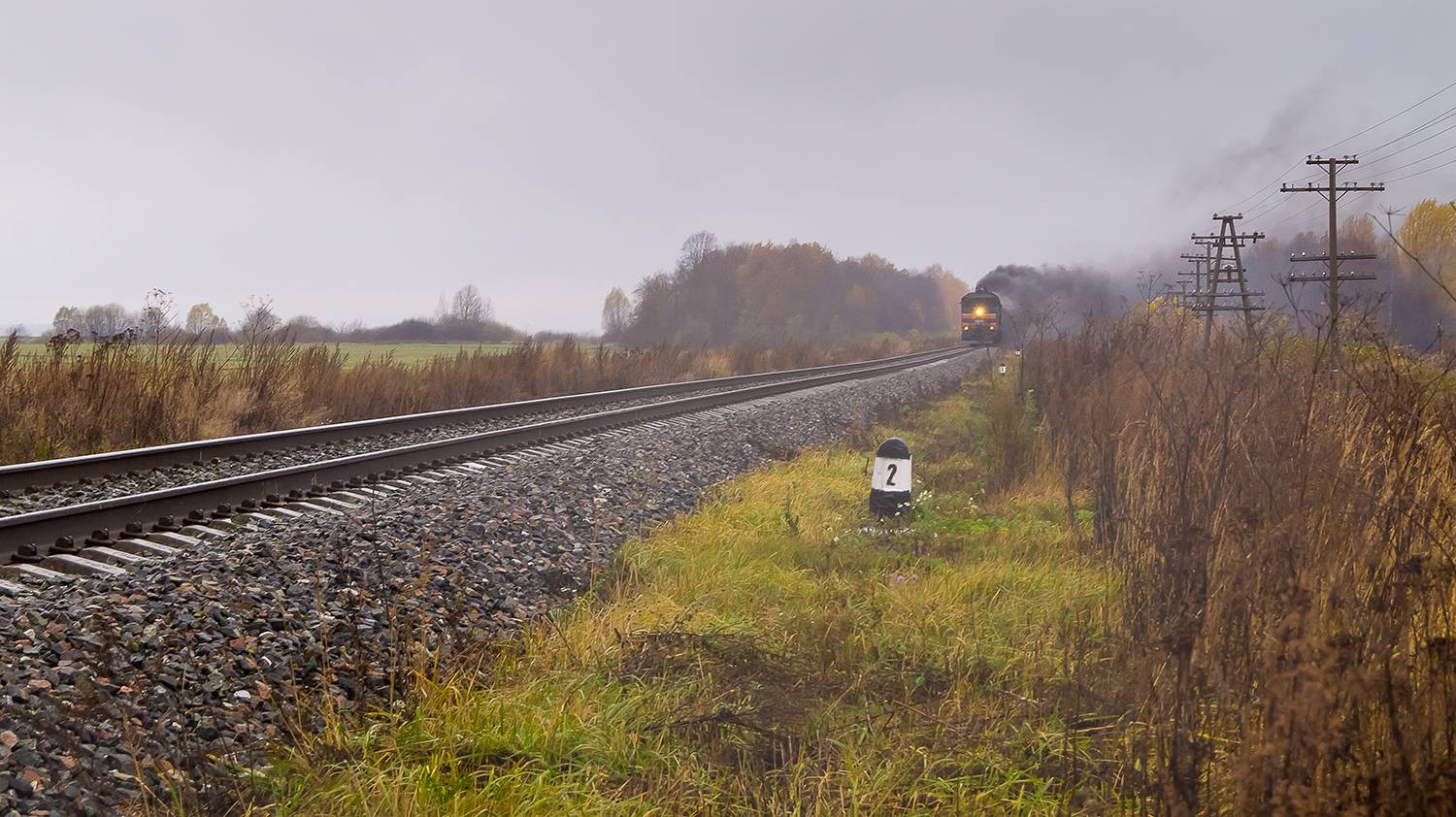 Photo #13559804