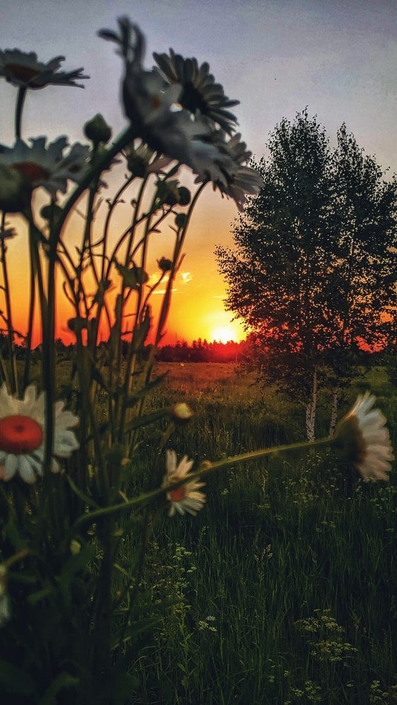 Photograph by Ирина Багдасарова