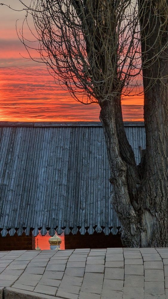 Photograph by Ирина Багдасарова