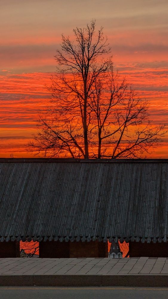 Photograph by Ирина Багдасарова