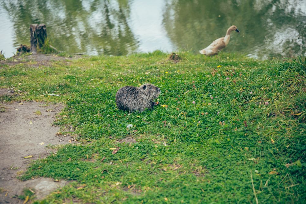 Photograph by Анна Гусева