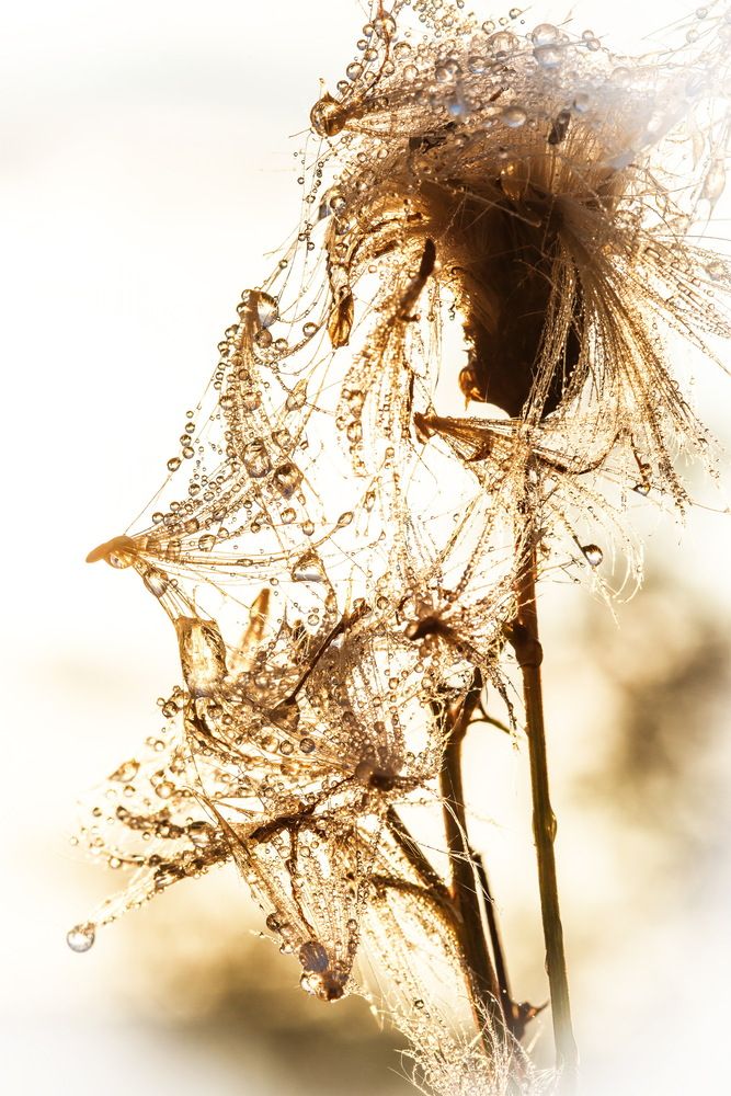 Photograph by Валерий Смирнов