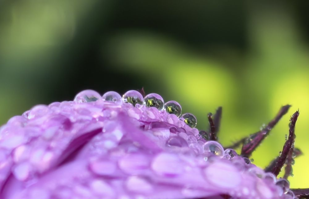Photograph by Елена Охапкина