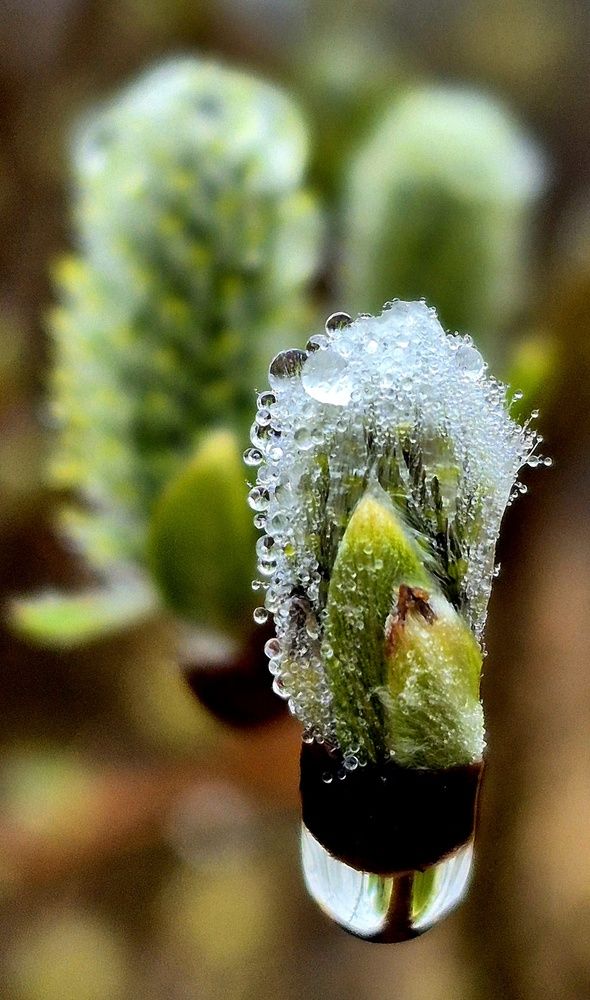 Photograph by Валентина Сергеева