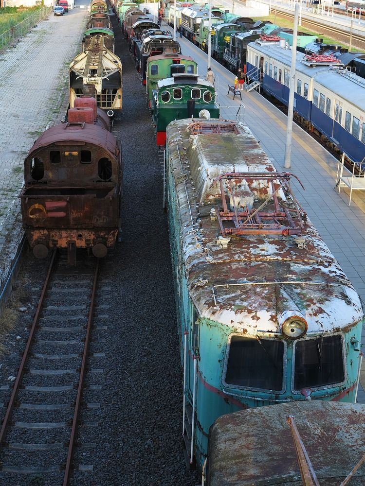 Старожилы / Old Timers