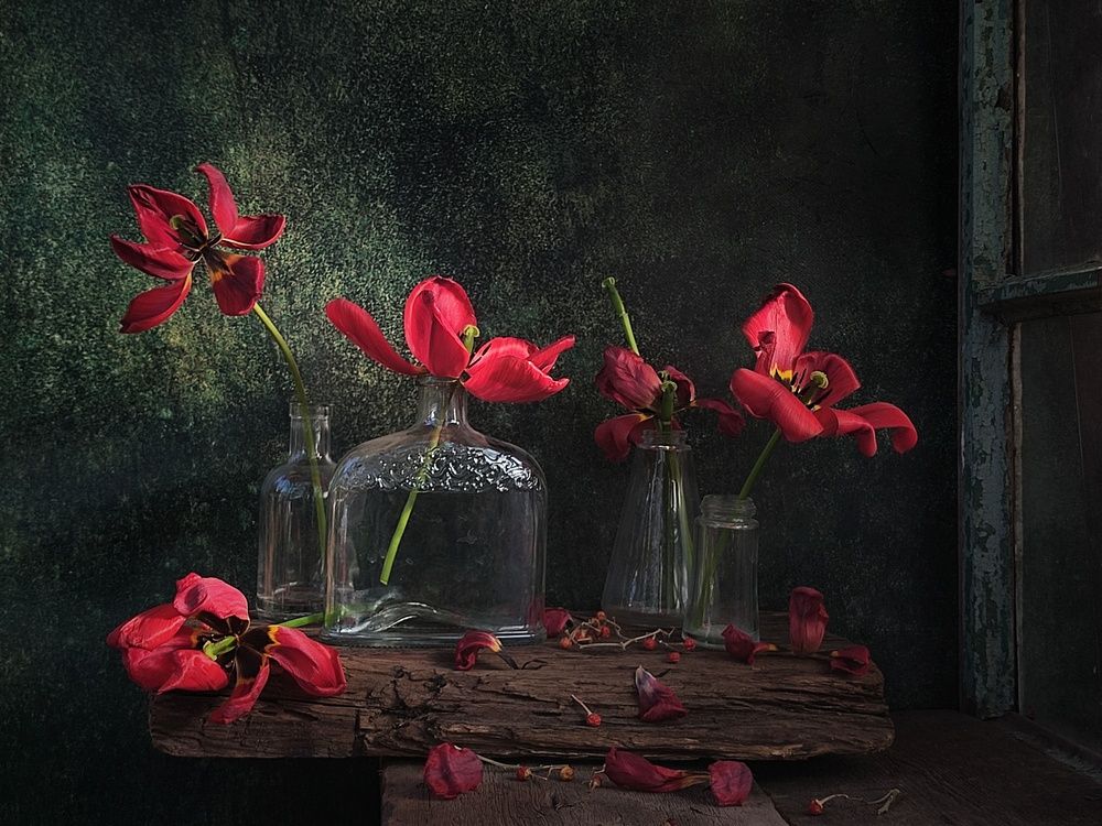 Photograph by Инга Шевелёва
