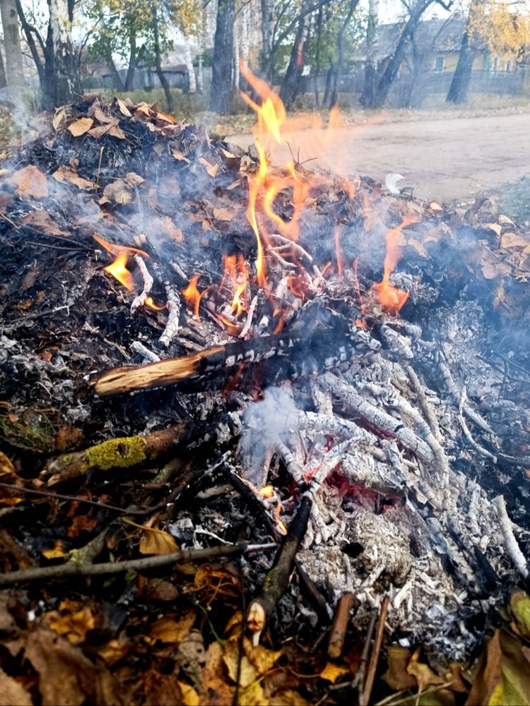 Photograph by Елена Пархоменко