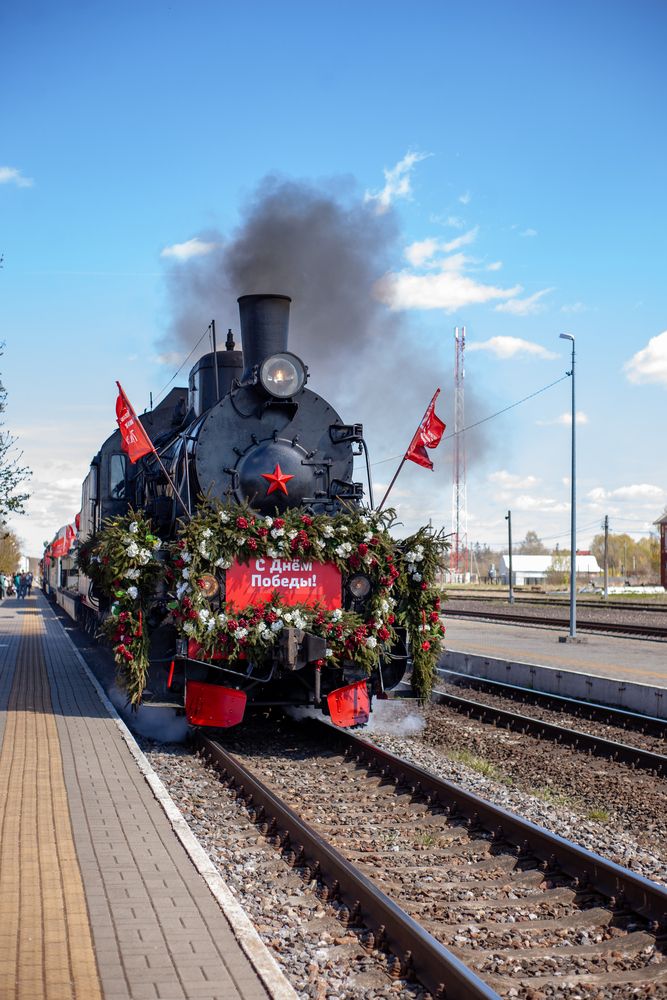 Фотография автора Светлана Цвях