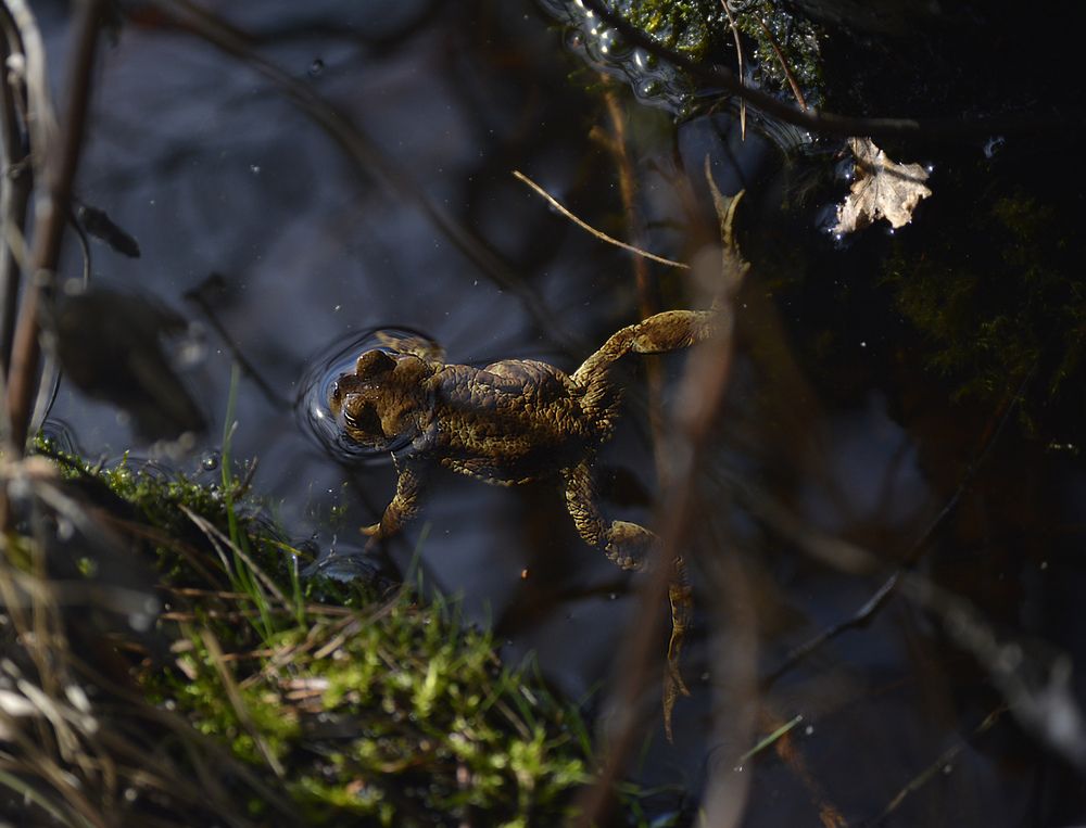 Photo #13560348