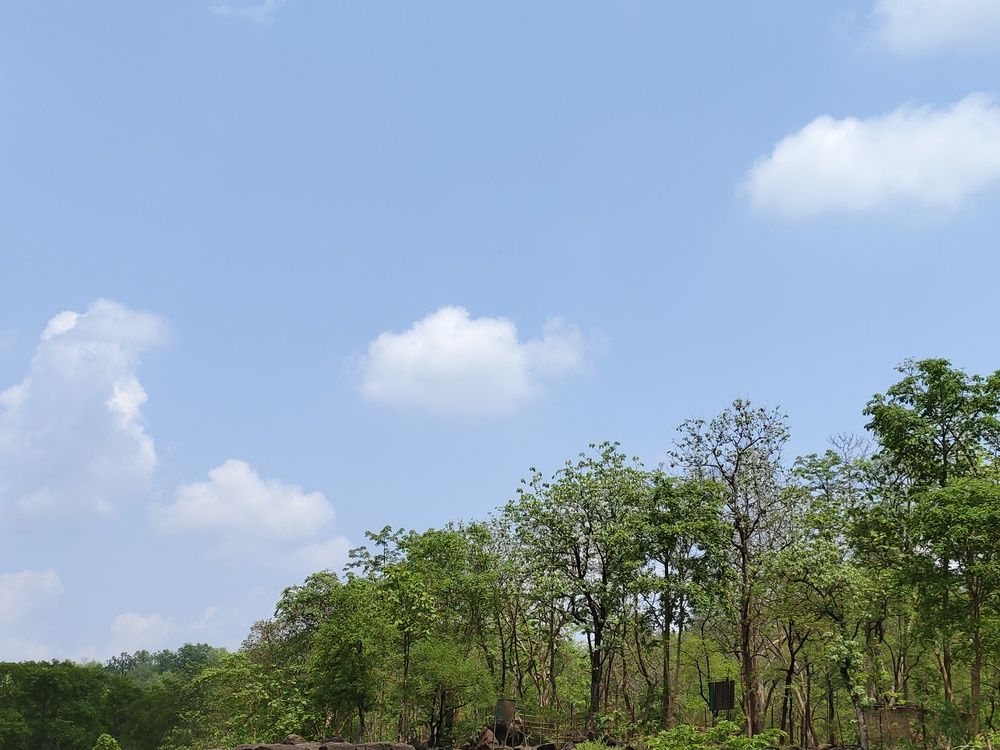 Photograph by Sattanurupa Samadder