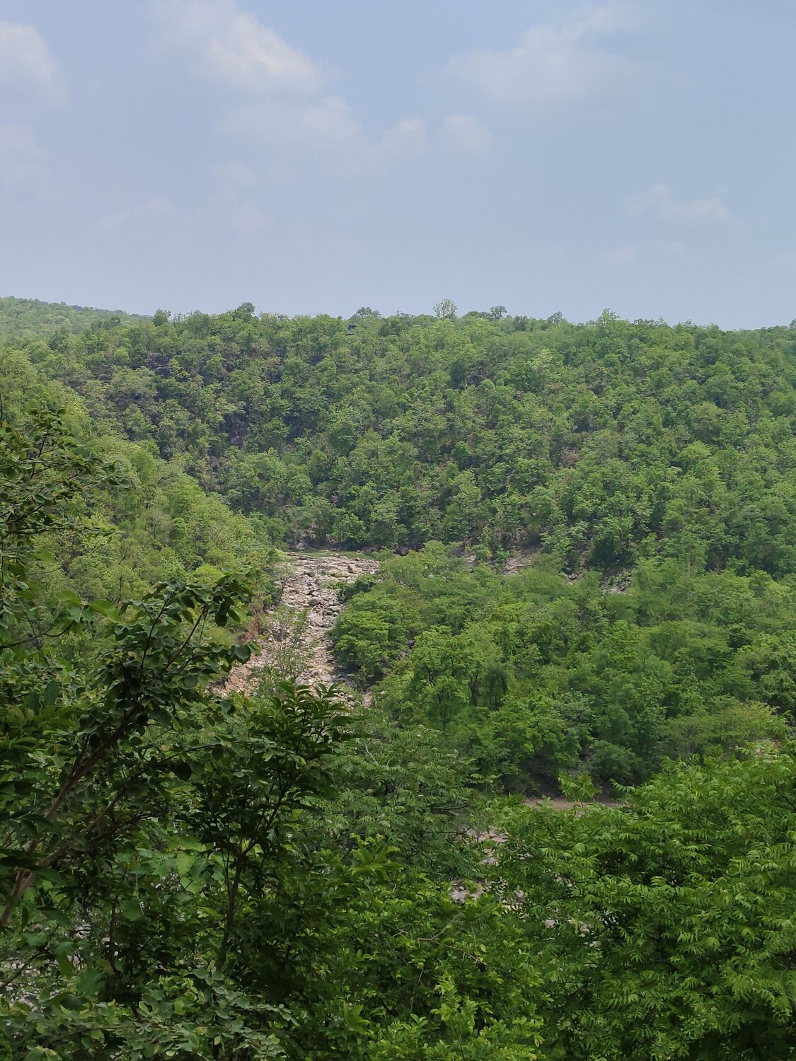 Photo #13560521